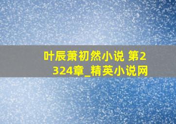 叶辰萧初然小说 第2324章_精英小说网